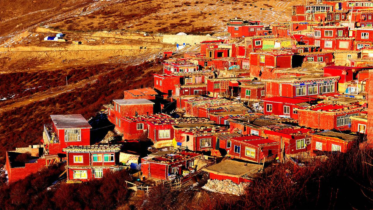 appleid充值不显示金额页面_给appleid充值默认付款一直不出来 - Apple ID相关 - 55dz账号网