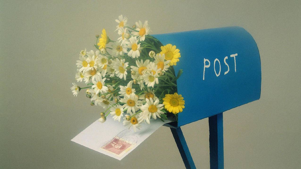 抖音苏六什么梗-dy业务网