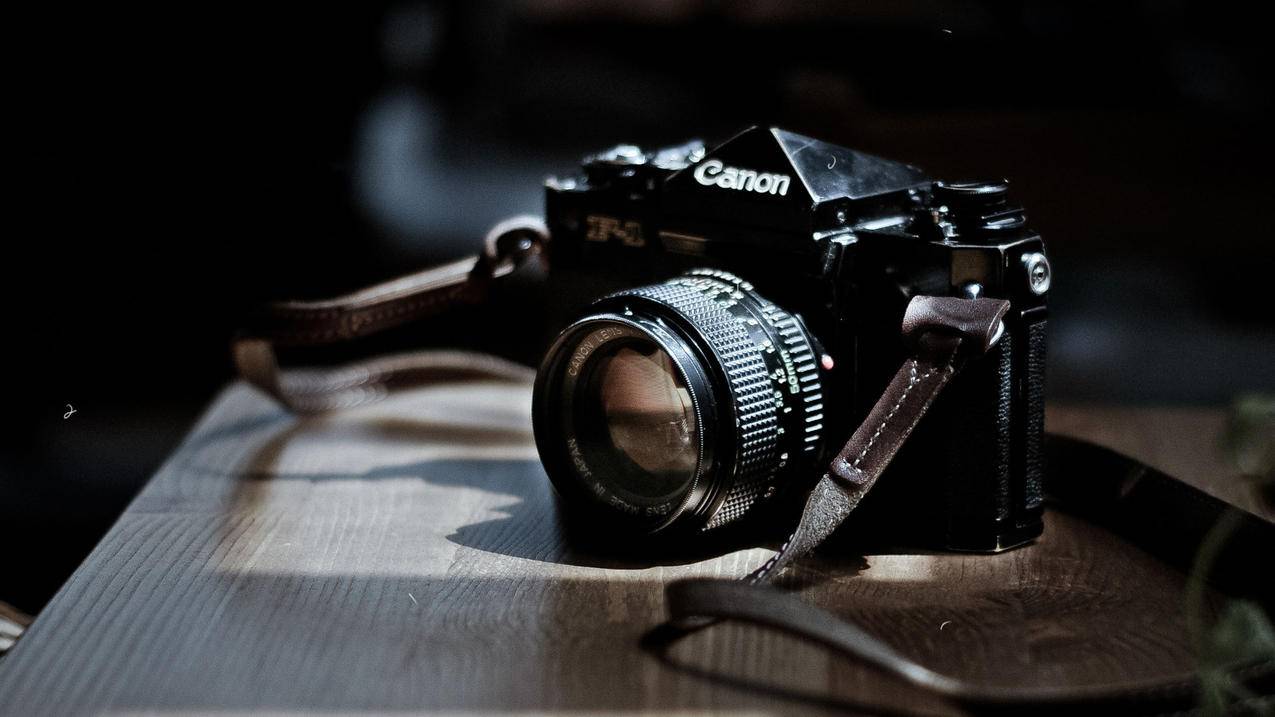 项链ins冷淡风高级感星星项链_低调好看的项链 - INS相关 - 55dz账号网