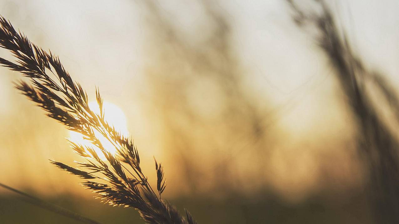 ins是facebook旗下_facebook和ins是一家公司吗 - facebook相关 - 55dz账号网