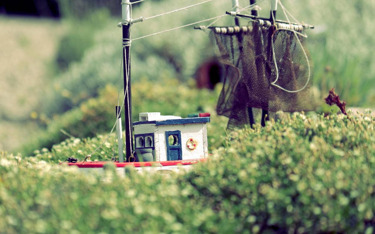 origin注册账号发生技术问题_origin注册发生了些意料之外的事情解决方法 - skype相关 - 55dz账号网