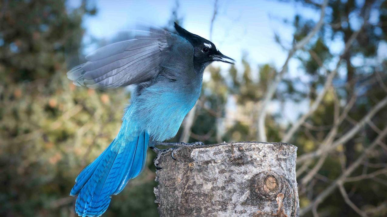 韩剧网不能看_最近韩剧网不让看了吗 - gmail相关 - 55dz账号网