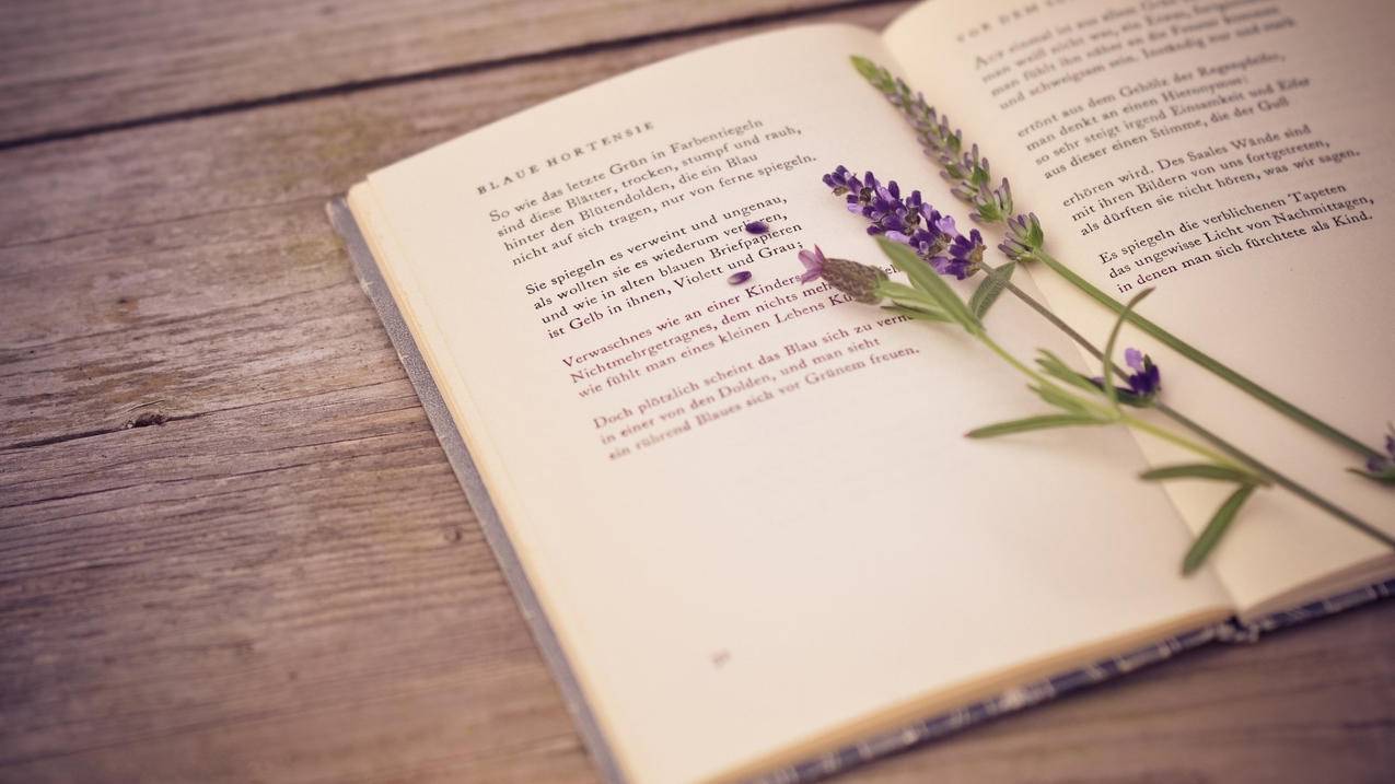 越南苹果id查询他人位置 - 各区苹果ID - 55dz账号网