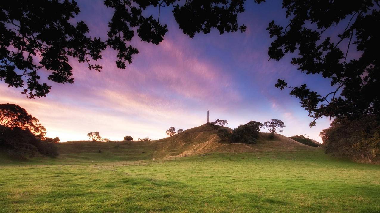 创建苹果appleid电子邮件该怎么填_创建appleid的电子邮件怎么填手机 - Apple ID相关 - 55dz账号网