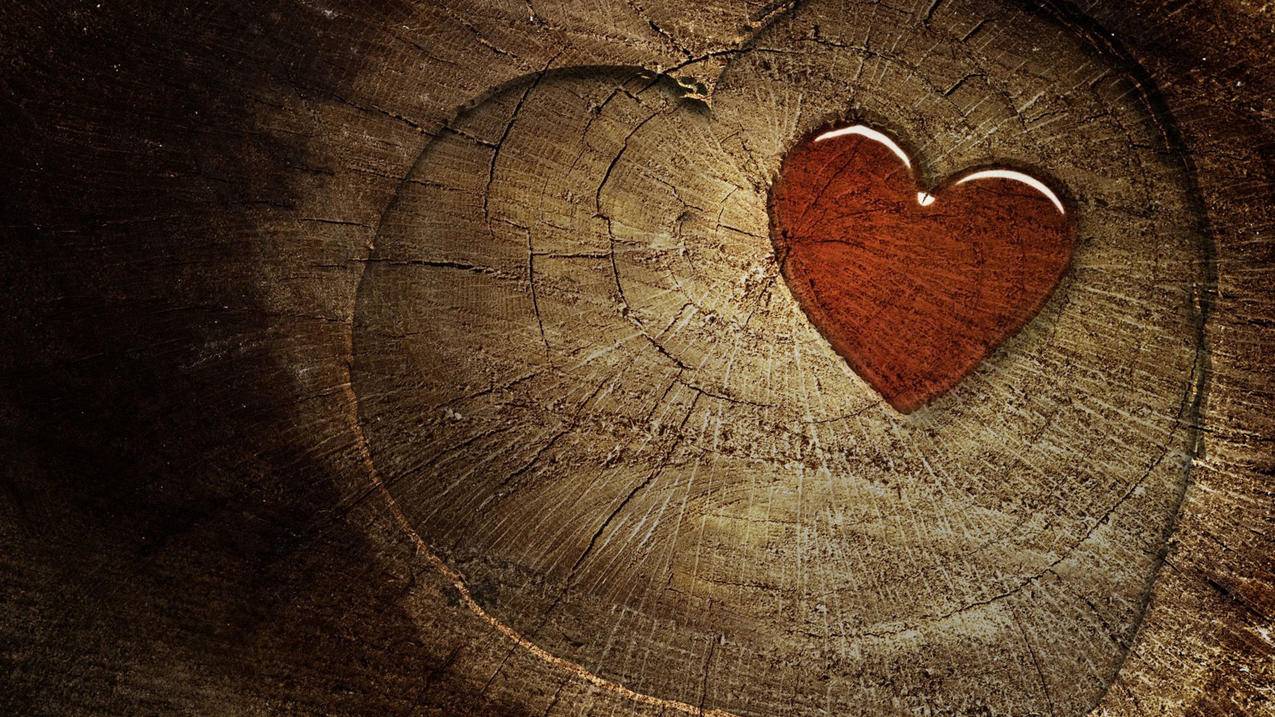 快手刷双击在线平台子潇 - 皮皮虾代刷网站,刷空间说说赞真人赞