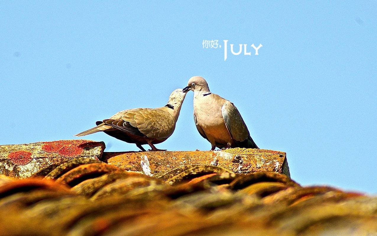 火箭可以_火箭可以买卖吗 - 注册外服方法 - 55dz账号网