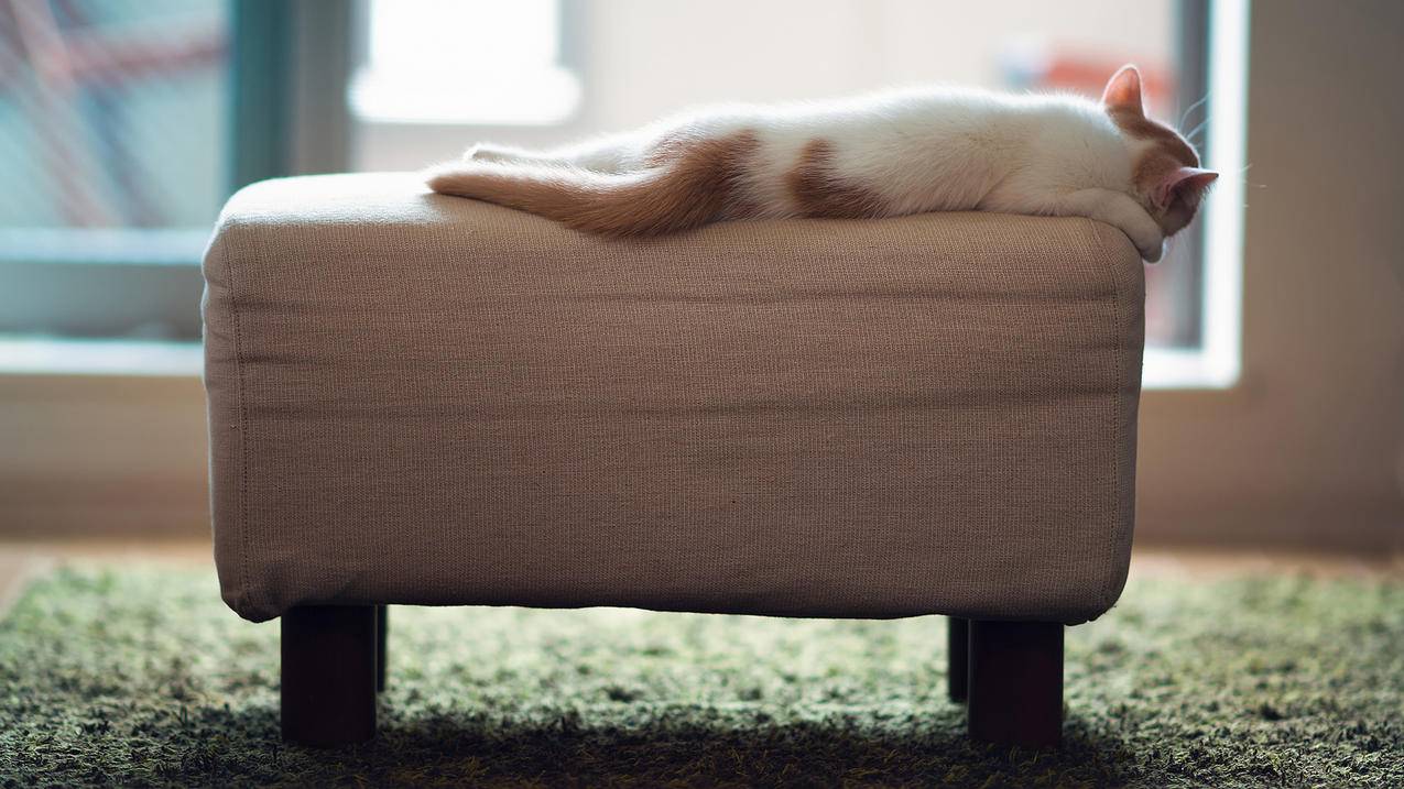 zoomlion升降机充电_ZOOMLION升降机 - zoom相关 - 55dz账号网