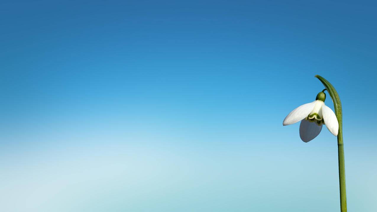 nba2konline2可以用手机玩吗?_nba2k online 2可以手机玩吗 - Line相关 - 55dz账号网