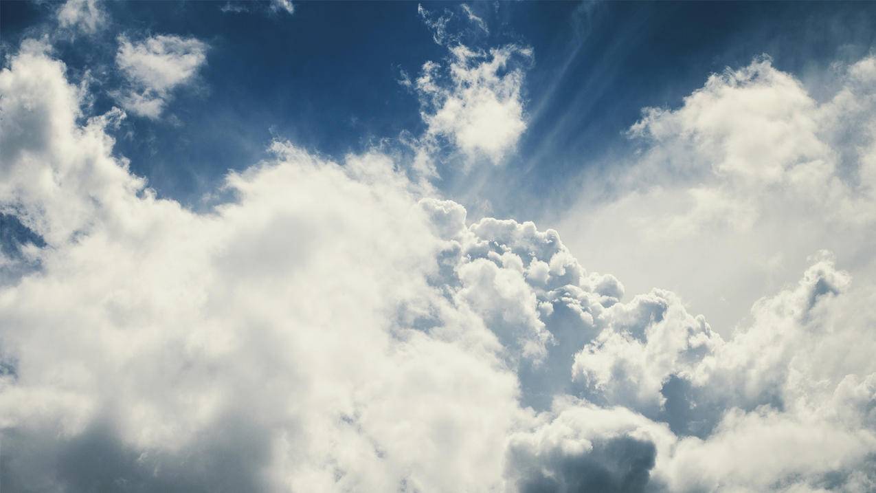 tiktoktok怎么下载_怎样下载Tiktok - tiktok相关 - 55dz账号网