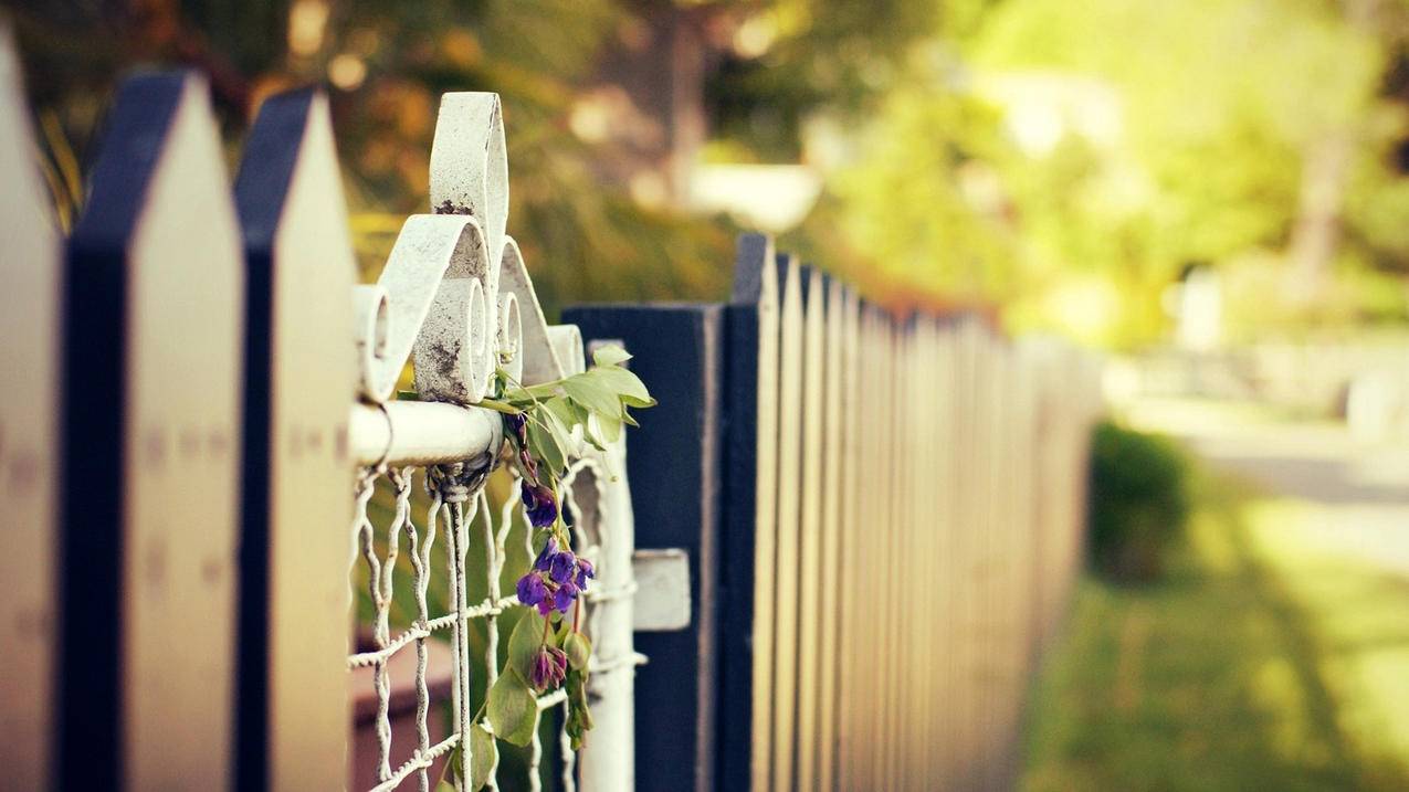 我的日本苹果ID的充值功能和购买功能被锁了,怎么可以解开继续使用? ， 苹果iPad在日本买的当时用的别人的iD账号现在不能打开了怎么办?  - 55dz账号网