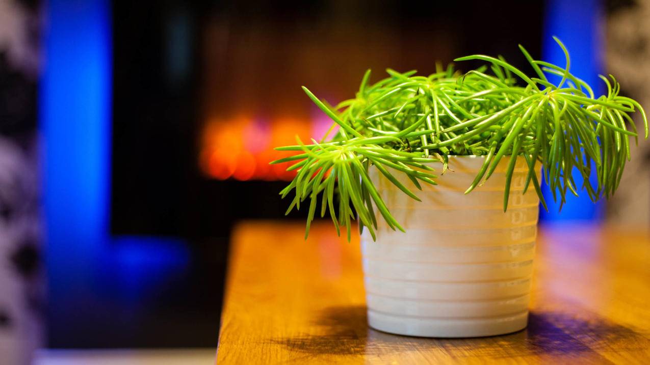 我的节点_我要看节点 - 注册外服方法 - 55dz账号网