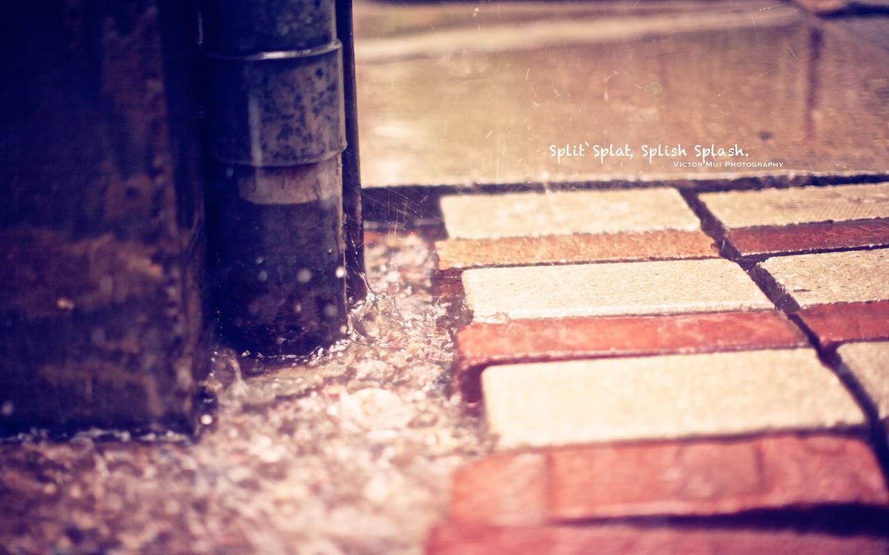 zoom怎么注册国际账号_Zoom怎么注册账号 - zoom相关 - 55dz账号网