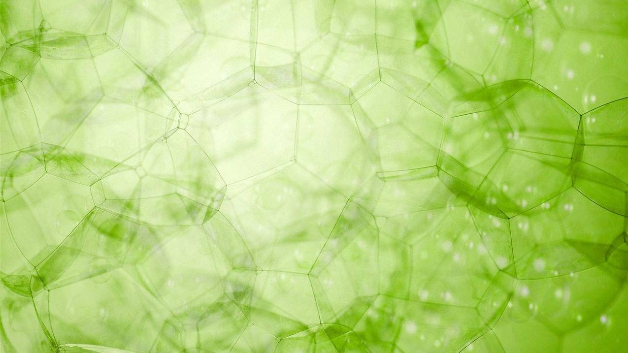 clash免费节点地址_免费节点 clash - clash相关 - 55dz账号网