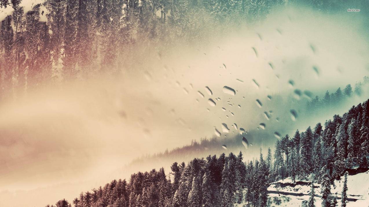 澳洲iPhone共享账号密码免费用[免费APP在这里]_海外appleid