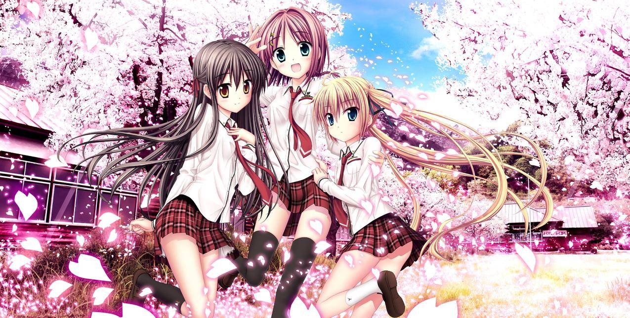 推特不自动播放视频声音怎么关_推特不自动播放视频声音怎么关 - tw相关 - 55dz账号网