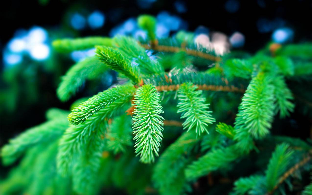 韩剧网不能看_最近韩剧网不让看了吗 - gmail相关 - 55dz账号网