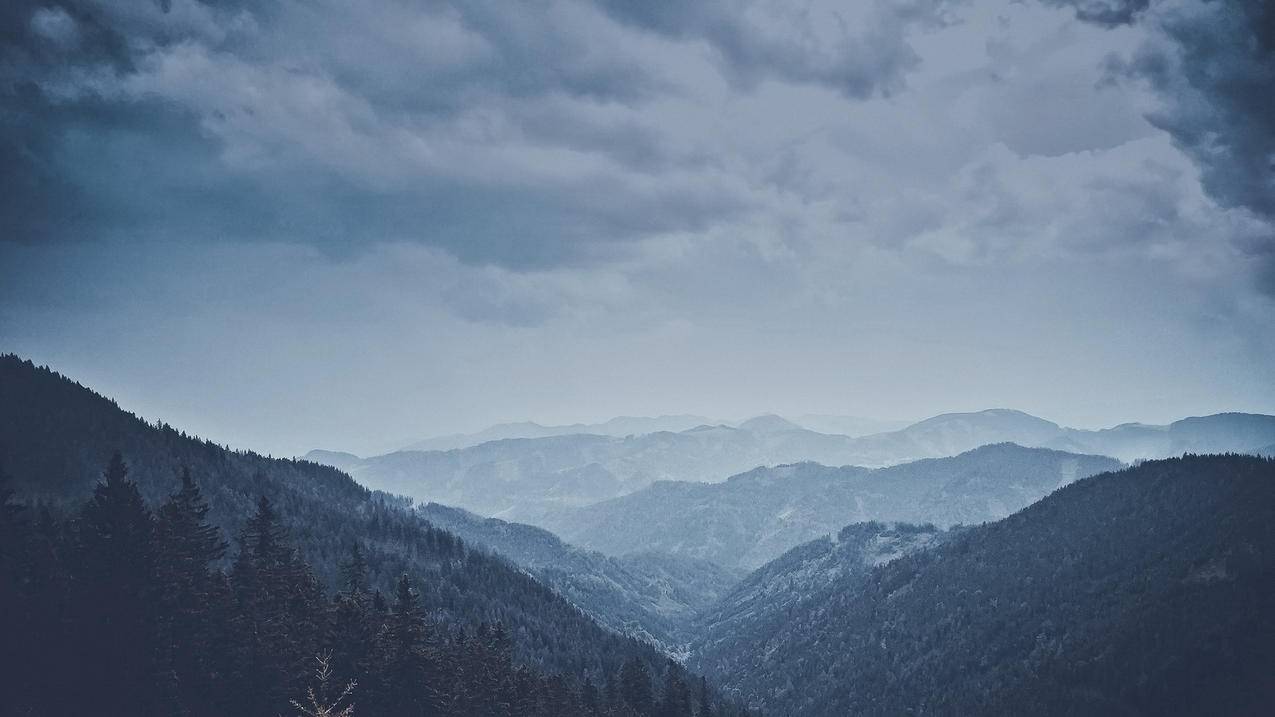 谷歌play商店怎么下载应用?  ( play商店怎么下载 ) - 55dz账号网