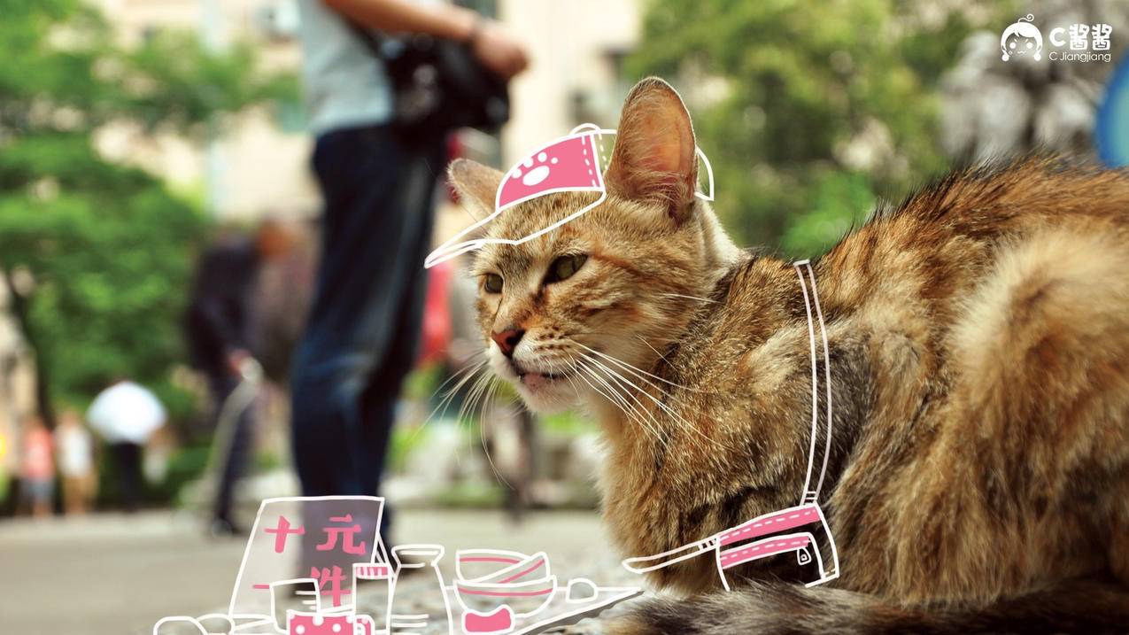 抖音里面收藏是什么-dy业务网