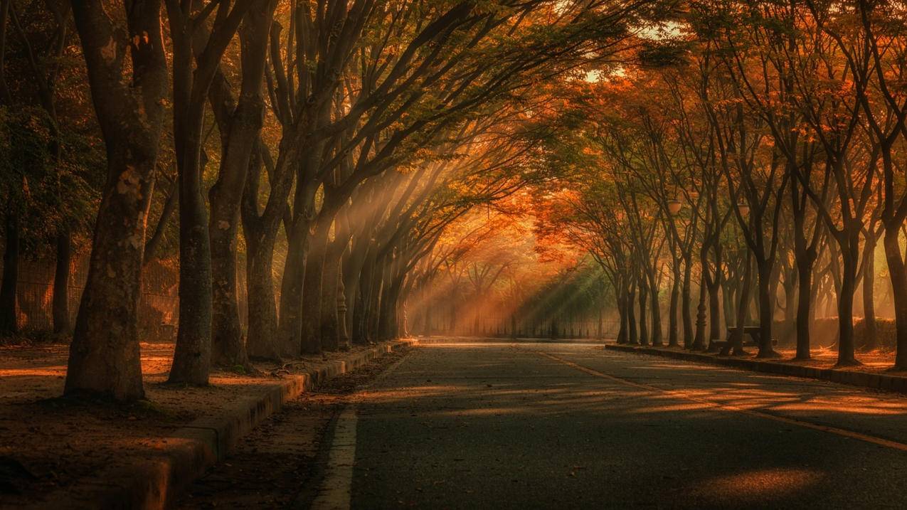 苹果13退出id还能定位吗 ， 苹果手机退出id还能被定位吗  - 55dz账号网