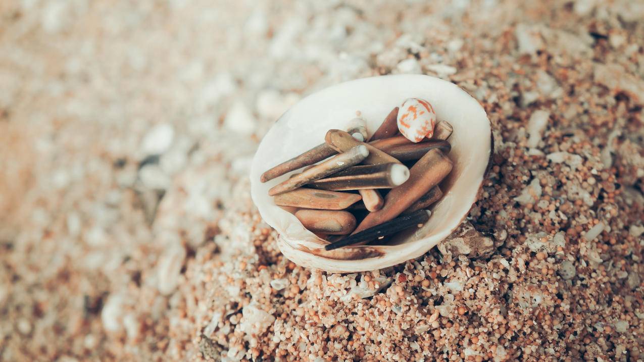 免费日区苹果id账号大全（亲测真实可用）-苹果分享网