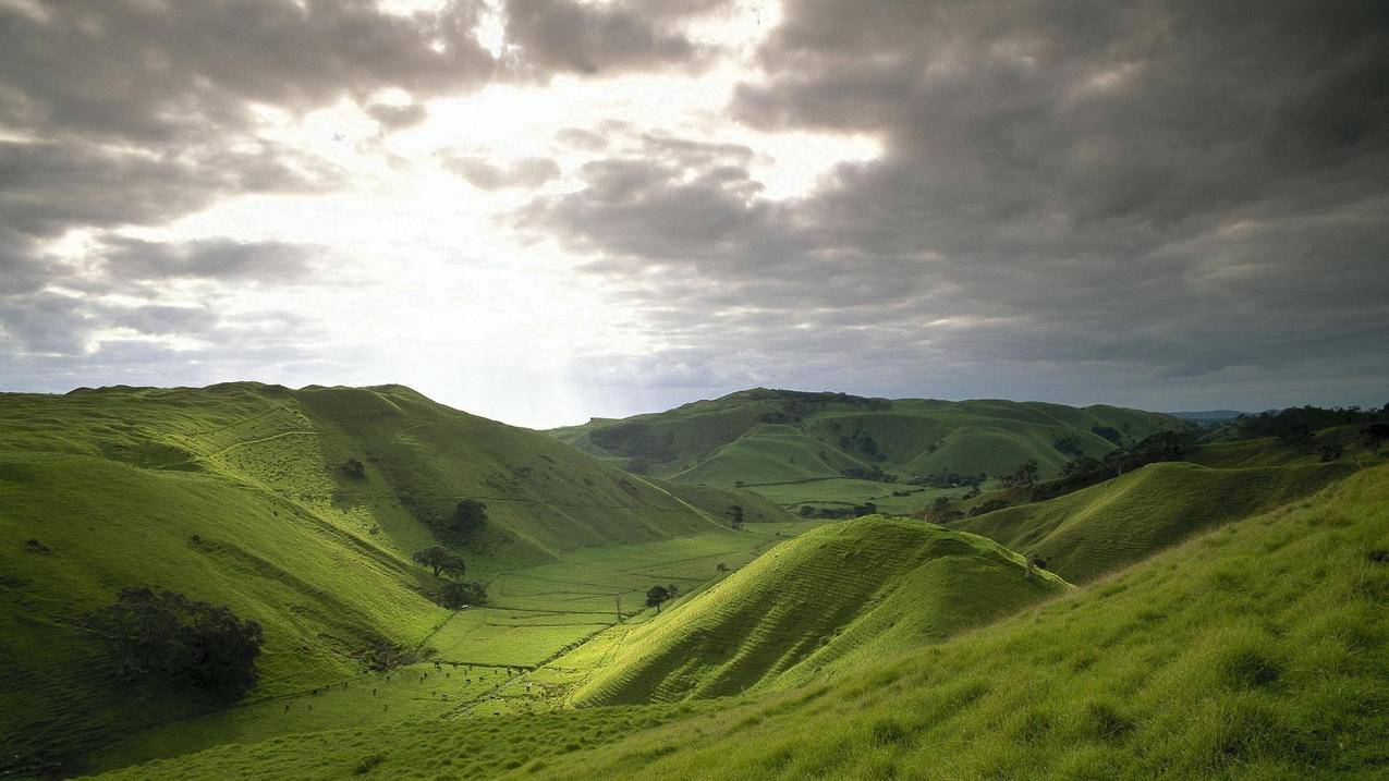 快手刷赞业务推广网站 - 买QQ空间访问-刷快手粉丝最便宜的平台秤