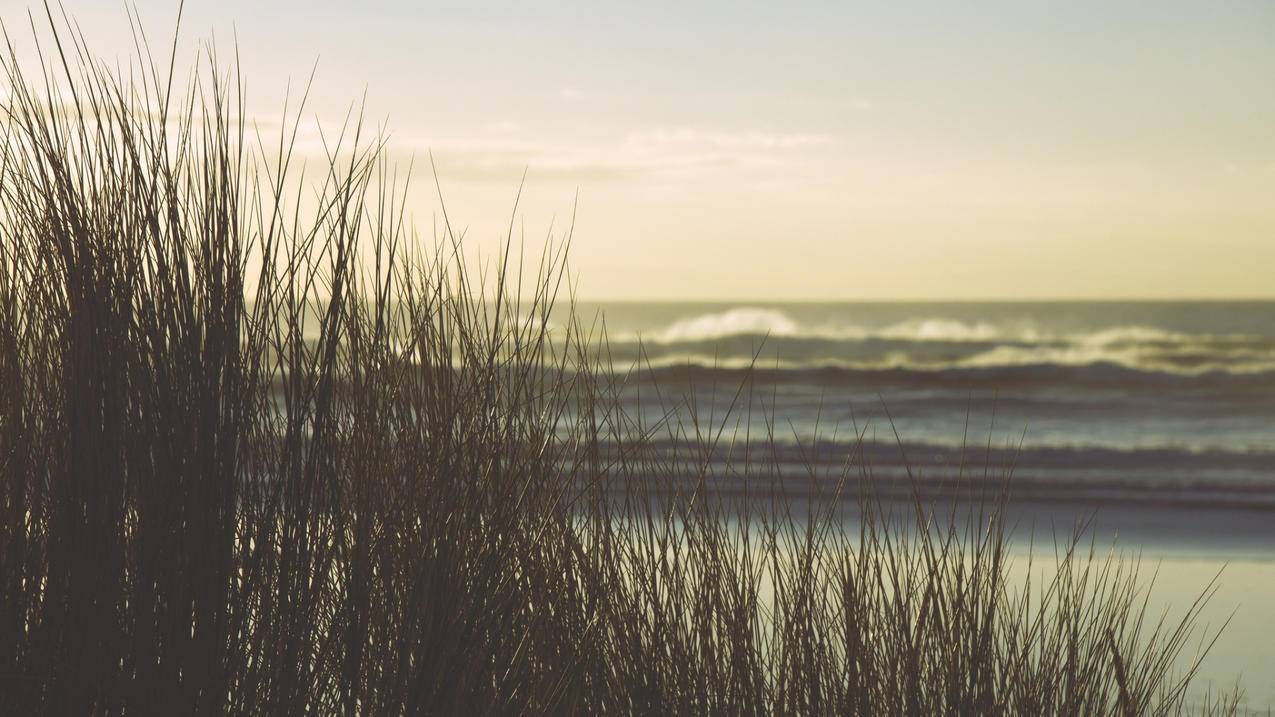 微信视屏号视屏怎么提取 - 自助平台 - dy业务网