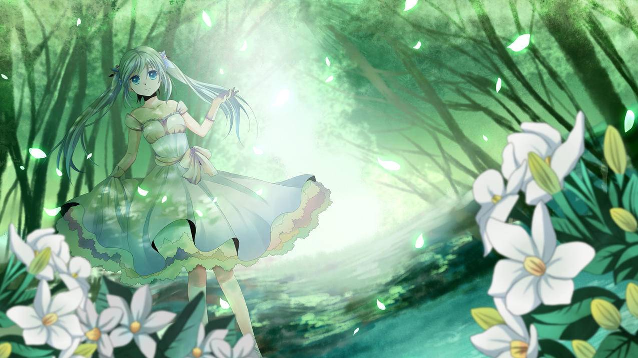 国内注册tiktok账号_Tiktok怎么注册账号 - tiktok相关 - 55dz账号网