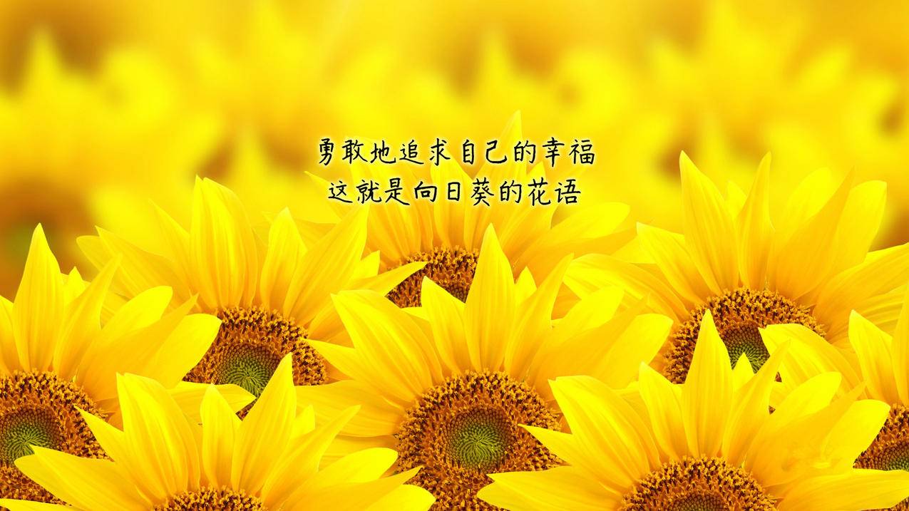 如何锁定小红书的收藏 - 自助平台 - dy业务网