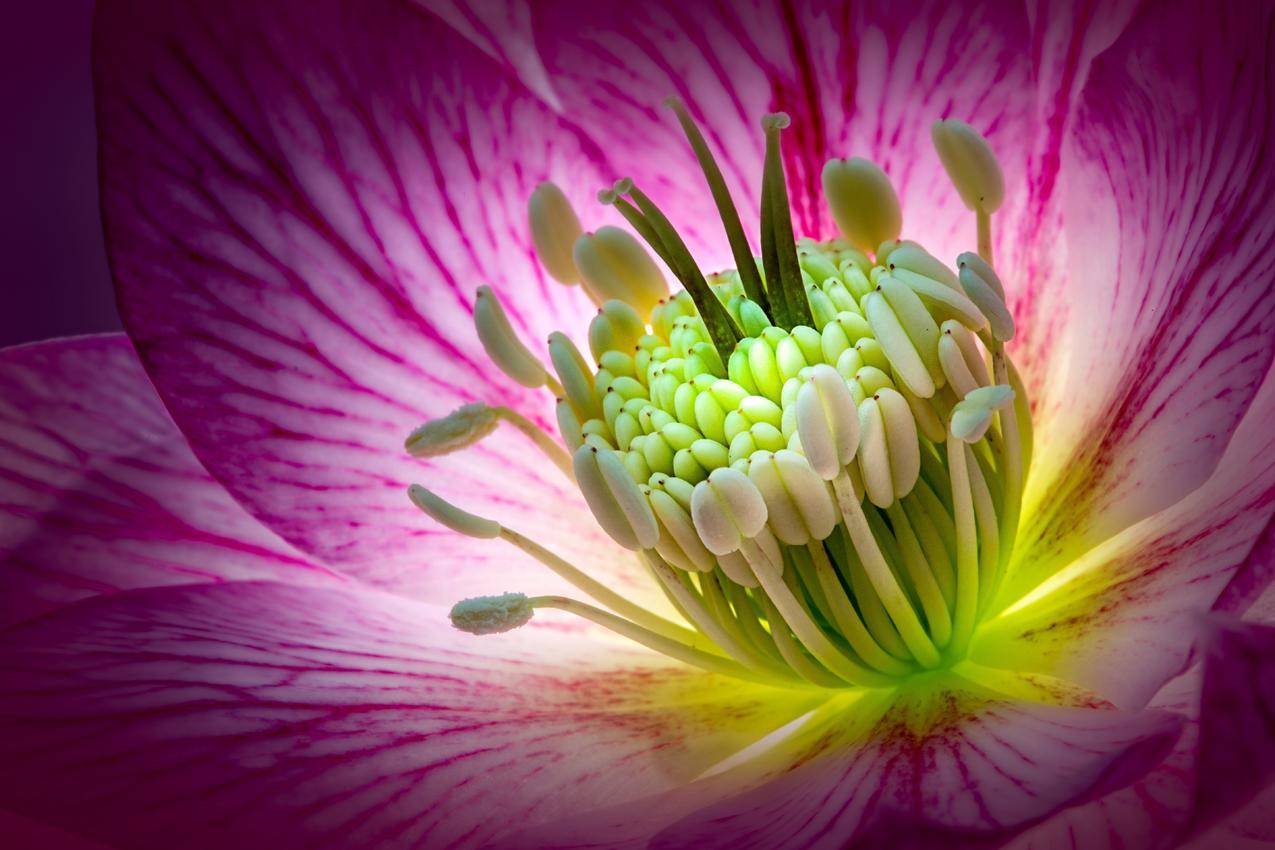 如何查看微信被删除的聊天记录_如何查看被删除了的微信聊天记录 - messenger相关 - 55dz账号网