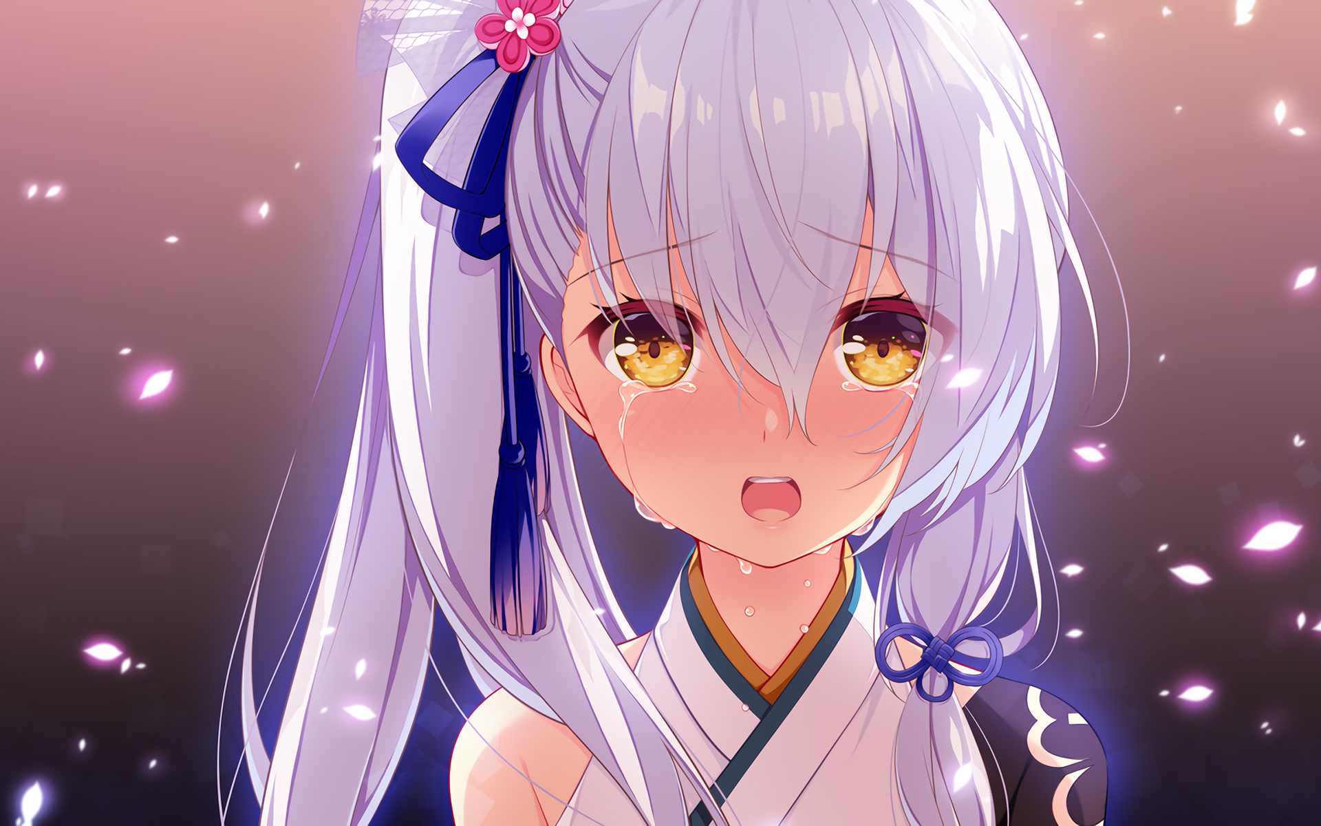 twitter为什么现在不能注册_twitter为什么不能注册账号 - tw相关 - 55dz账号网