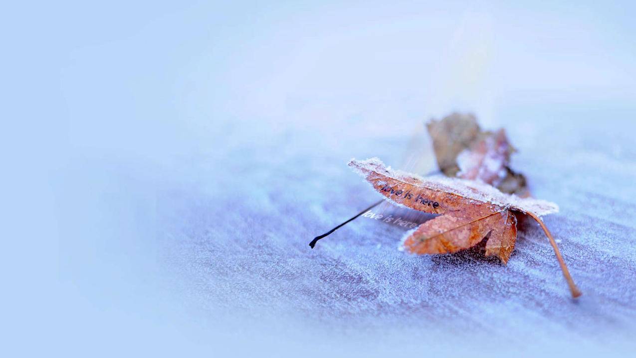 最新苹果帐号免费2024年[有效共享]_海外账号购买网