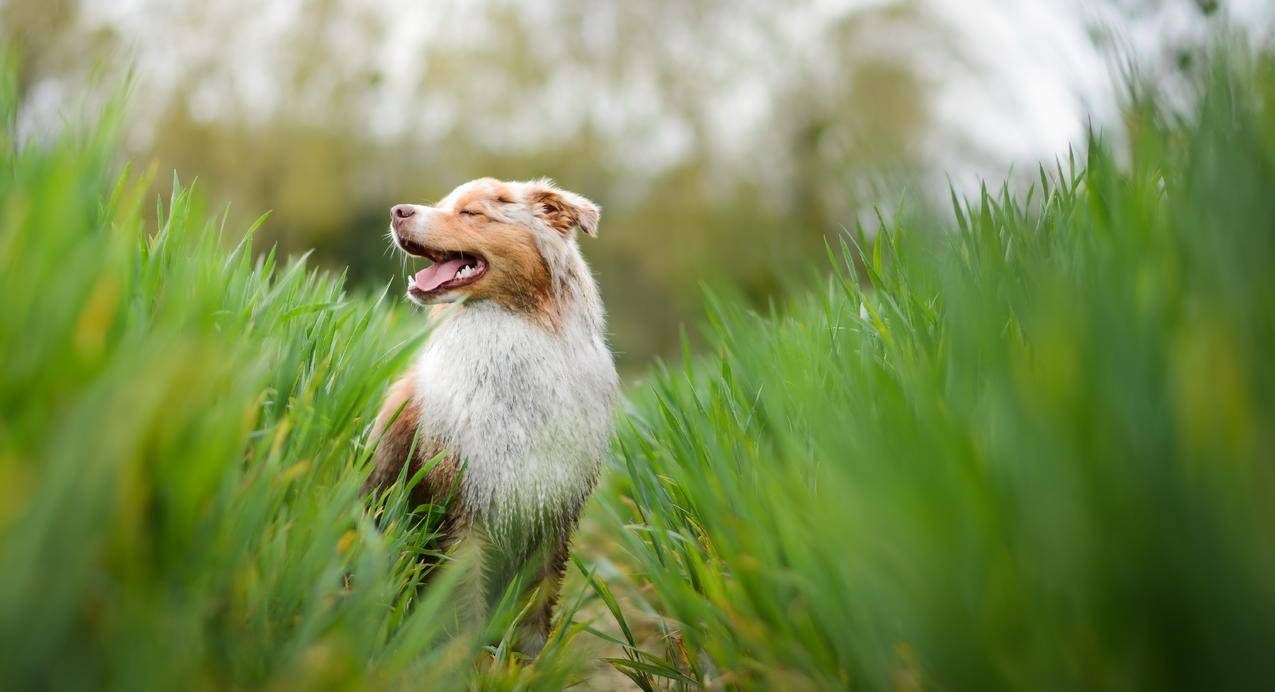 tiktok挂链接赚佣金_tiktok搬运赚钱 - tiktok相关 - 55dz账号网