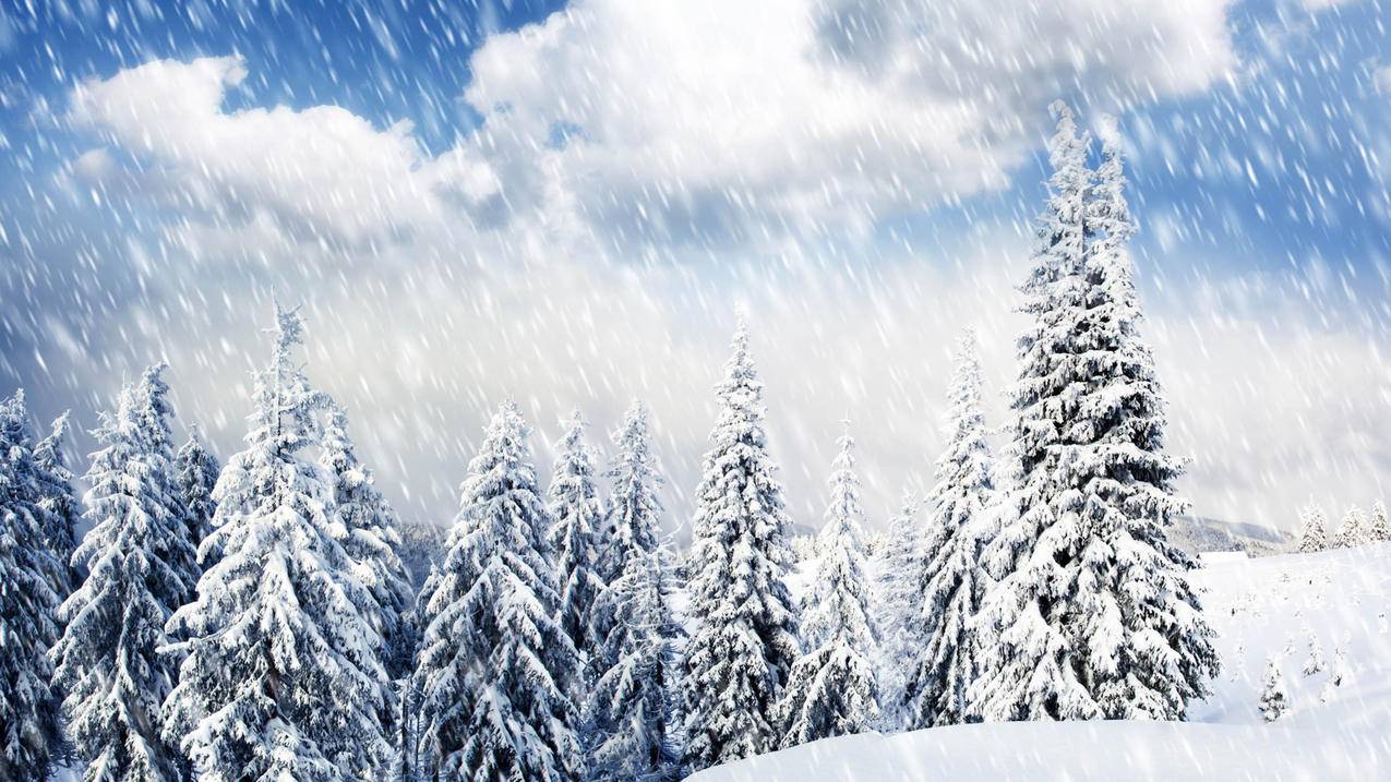 云言免费刷说说10个赞网 - ks刷赞网址,QQ业务低价代刷