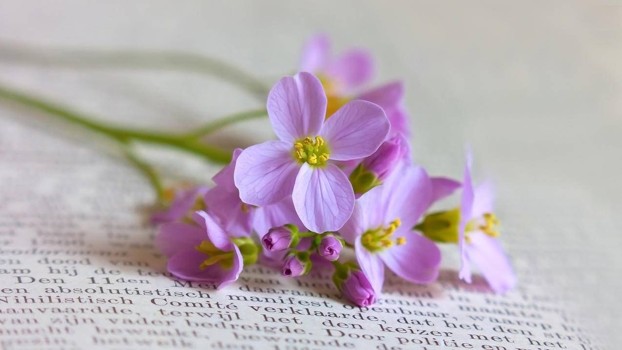 ins怎么改绑定手机号_ins怎么更换绑定手机号 - INS相关 - 55dz账号网