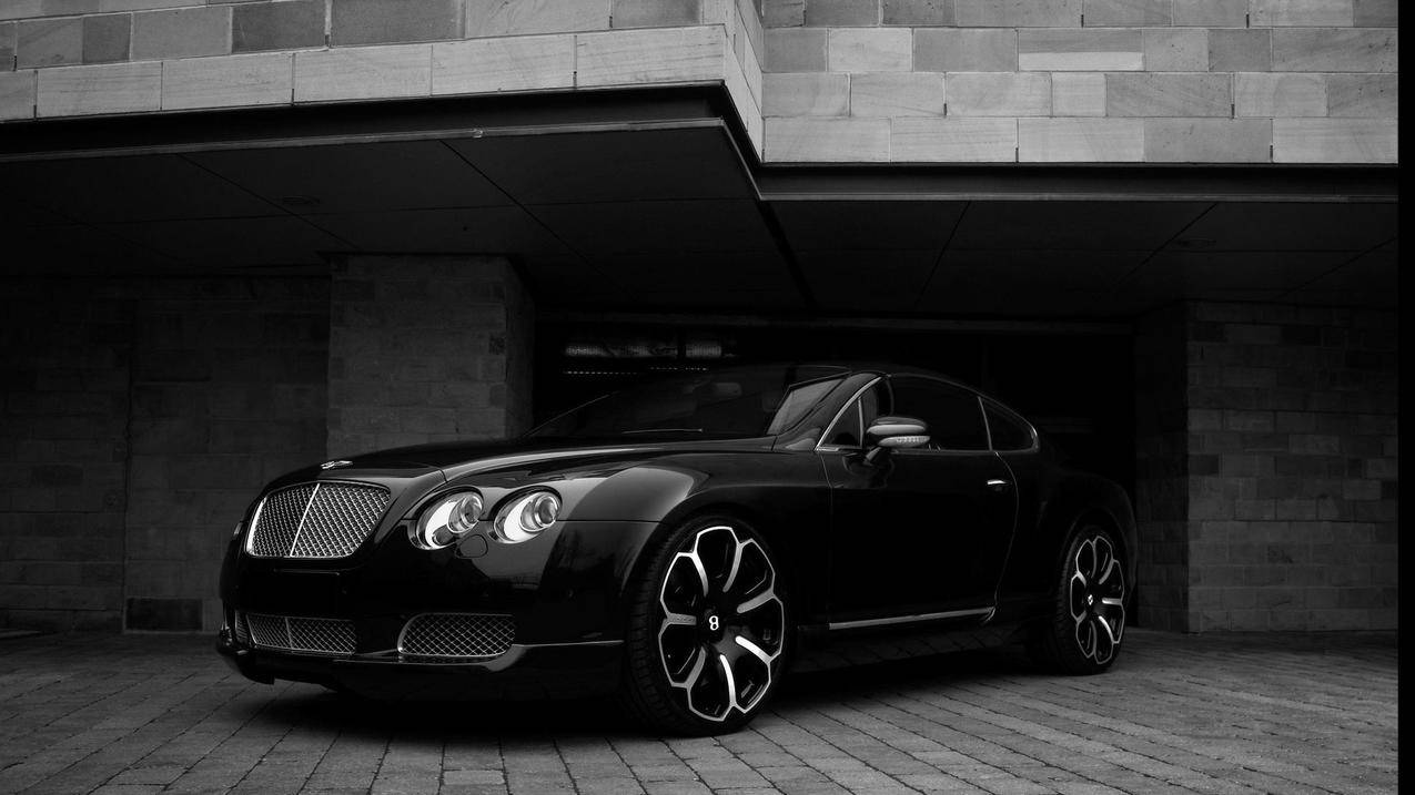 推特历史记录在哪  ( 推特用户名忘记了怎么办 ) - 55dz账号网