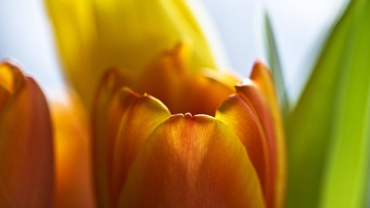 北城拼多多砍价多少钱 - ks业务 - 蘑菇业务网