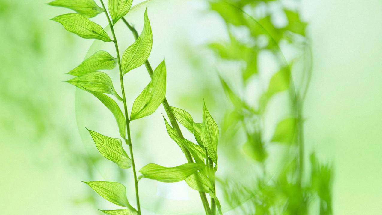 抖音什么叫穿透模式-dy业务网