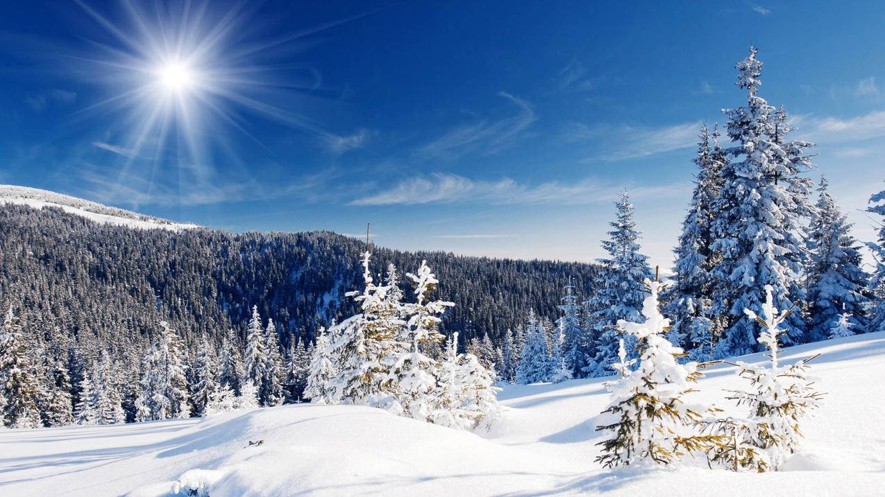 你的越南apple id与此订单不匹配（apple id 与此订单不匹配） - 各区苹果ID - 55dz账号网