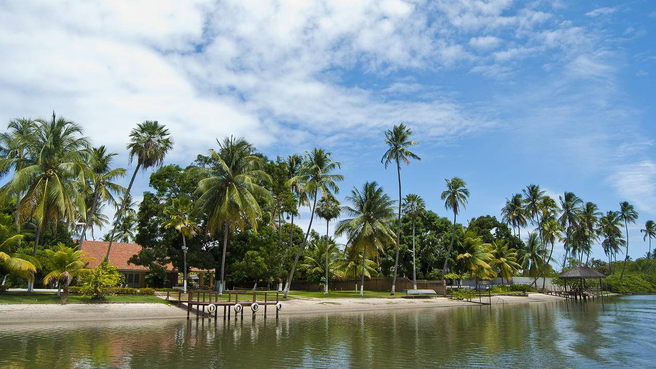 facebook被停用什么意思_facebook账户已停用是什么意思 - facebook相关 - 55dz账号网