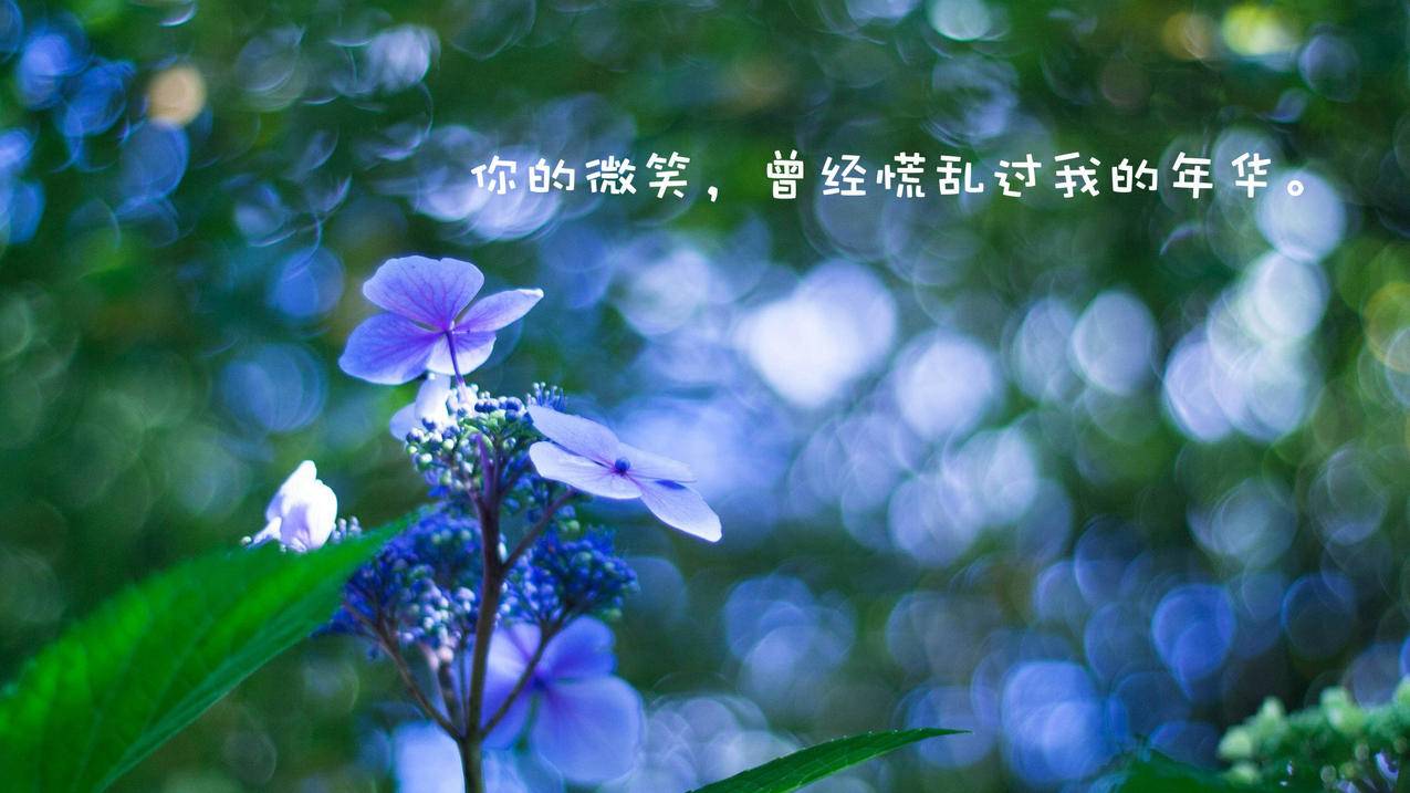 ins最新版苹果手机_ins最新版本苹果 - INS相关 - 55dz账号网