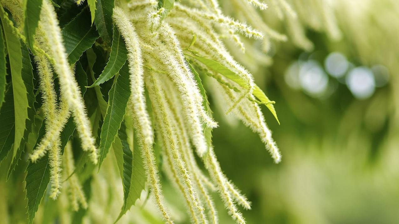 手游辅助 - 网红代刷网,拼多多砍价网站在线,qq刷赞网站全网+最低价啊名片赞QQ支付,一元10万qq赞网站全网最低价