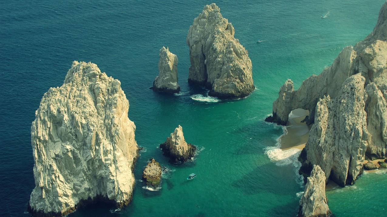 ins怎么下载视频或者图片_如何下载ins照片和视频 - INS相关 - 55dz账号网