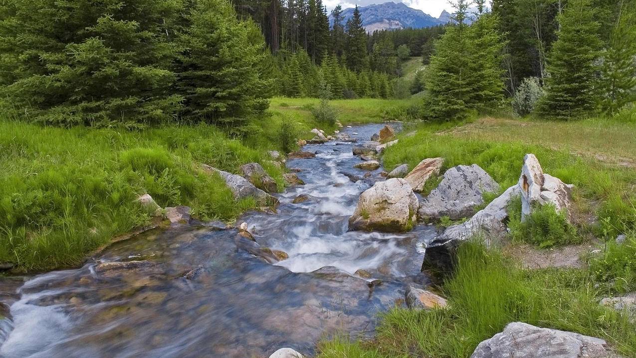 tiktok美国地区可以用台湾网络吗_怎么上美国tiktok - 苹果APP下载 - 55dz账号网