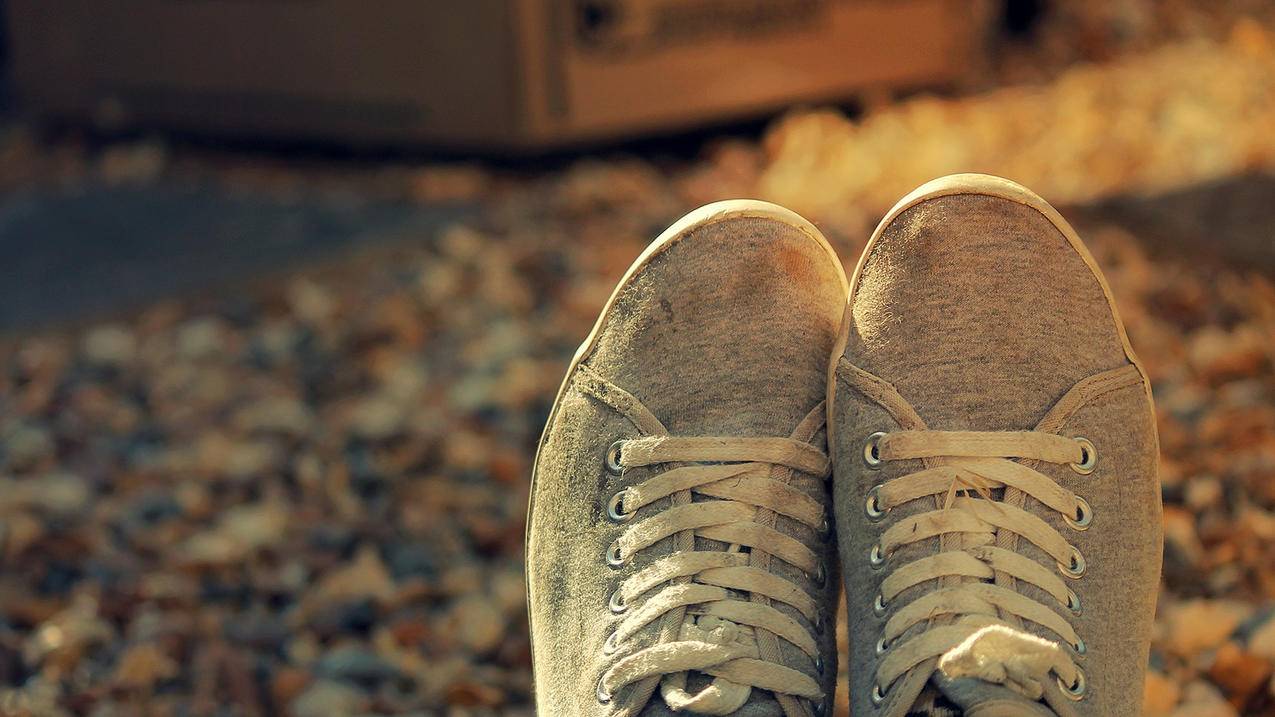 苹果id停用, id无法退出怎么解决? ， 苹果id停用退不出登录怎么办?  - 55dz账号网