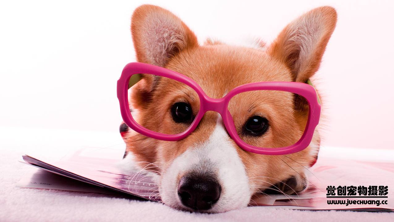 qq圈圈赞刷99代刷网站-浩宇代刷网,1元1000双击秒刷,稳刷快手粉丝,好友辅助一单60元的平台