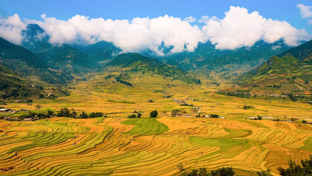 手机如何授权千川账号？ - 自助下单平台 - ks业务网