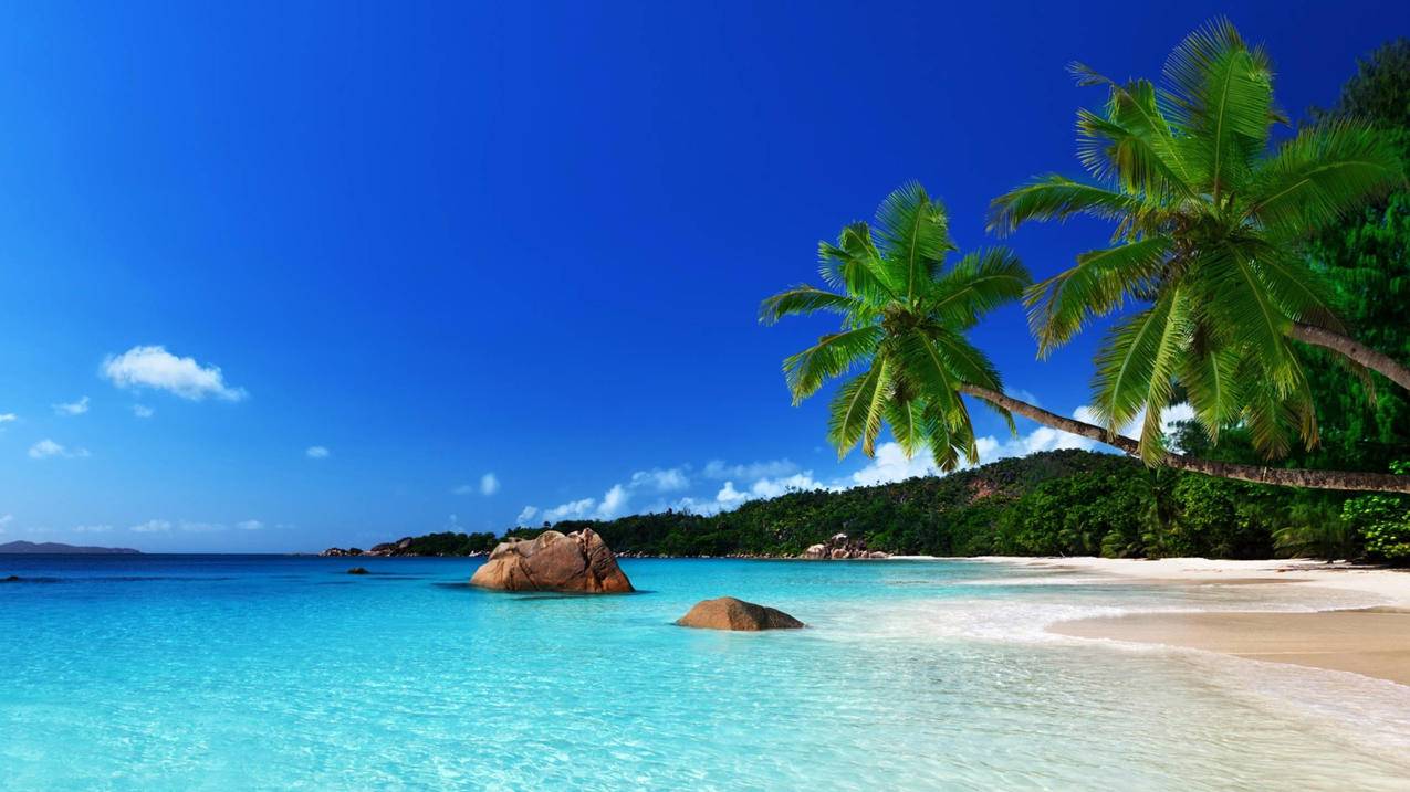 微博真人点赞下单10个_QQ空间点赞数量购买_微博刷词 - qq刷大会员最低价