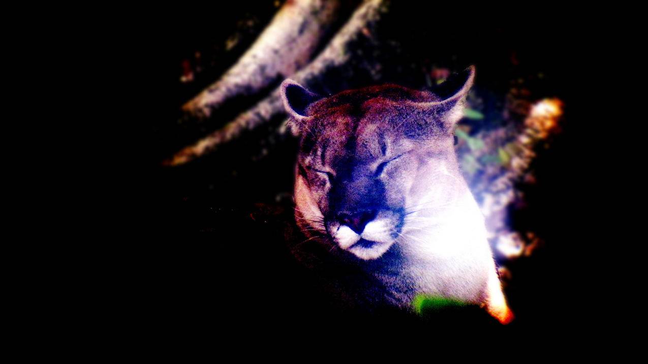 dy评论自助下单平台网站低价,24小时自助下单平台dy_dy低价业务