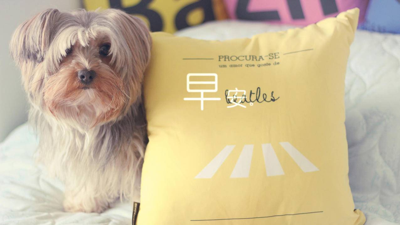 苹果面容ID设置移低一点怎么办? ， 重新设置面容id总要求移动低一点  - 55dz账号网