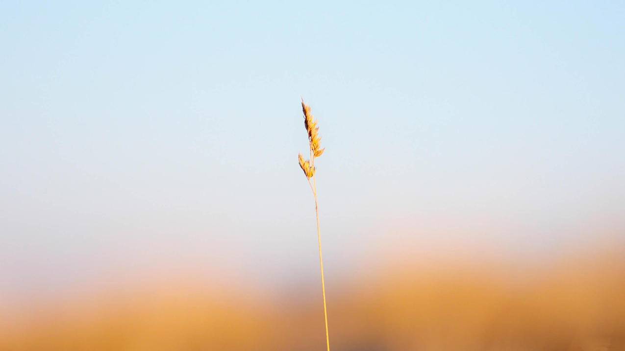 如何修改tiktok定位工具_如何使用TIKTOK - tiktok相关 - 55dz账号网